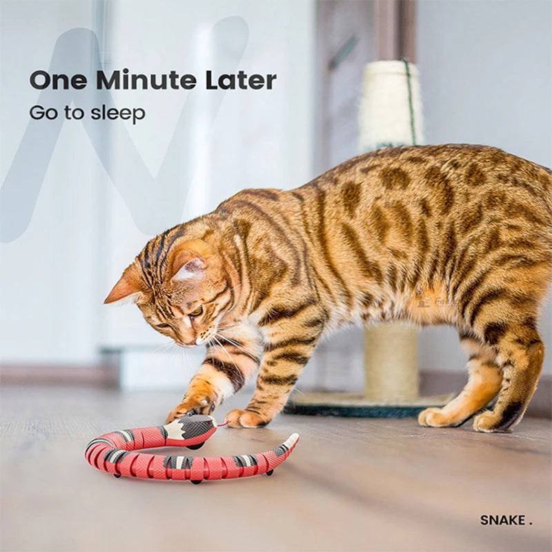 Automatic Cat Toys Interactive Smart Sensing Snake TeaseToys for Cats USB Charging Cat Accessories for Pet Cats Game Play To Econic Blanks