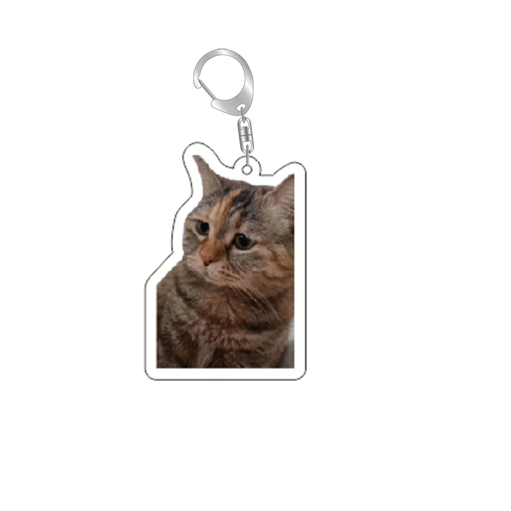 Funny Cat Memes Series Keychain Student Gift Bag Lanyard Women's Bag Pendant Keychain Cute Things Cheap Gift For Best Friends Econic Blanks