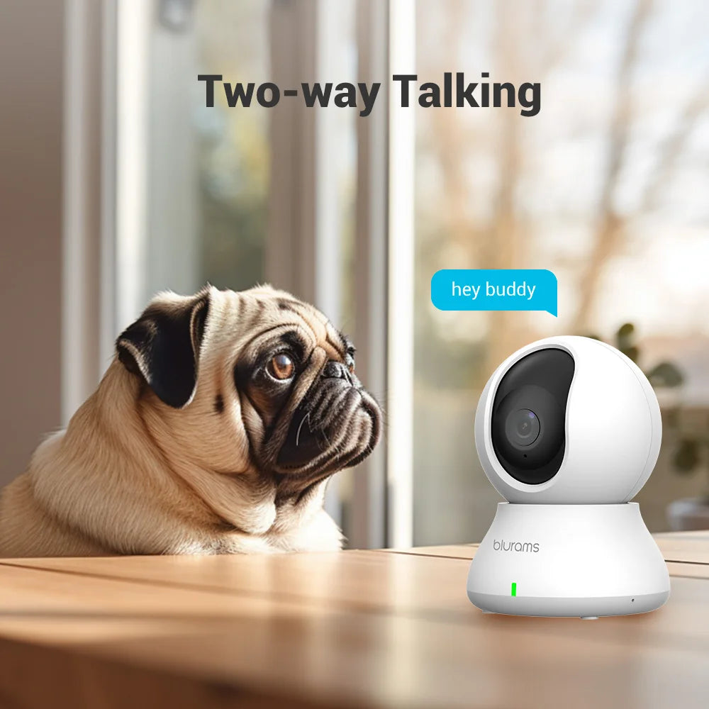 Blurams 2.4&5G WiFi Indoor Camera, 2K, 360° PTZ Pet Dog IP CCTV Camera with Phone App, 2-Way Talk, Night Vision, for Home Securi Econic Blanks