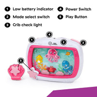 Baby Einstein Sea Dreams Soother Musical Crib Toy and Sound Machine, Newborn and up Quick Pick Grocers