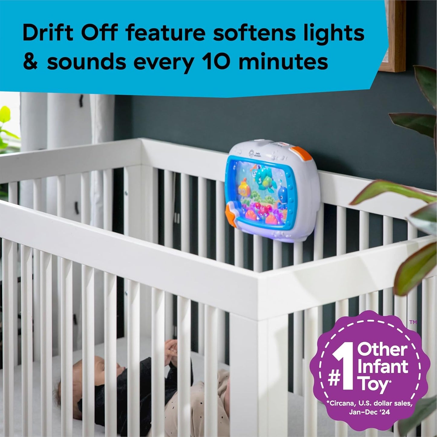 Baby Einstein Sea Dreams Soother Musical Crib Toy and Sound Machine, Newborn and up Quick Pick Grocers
