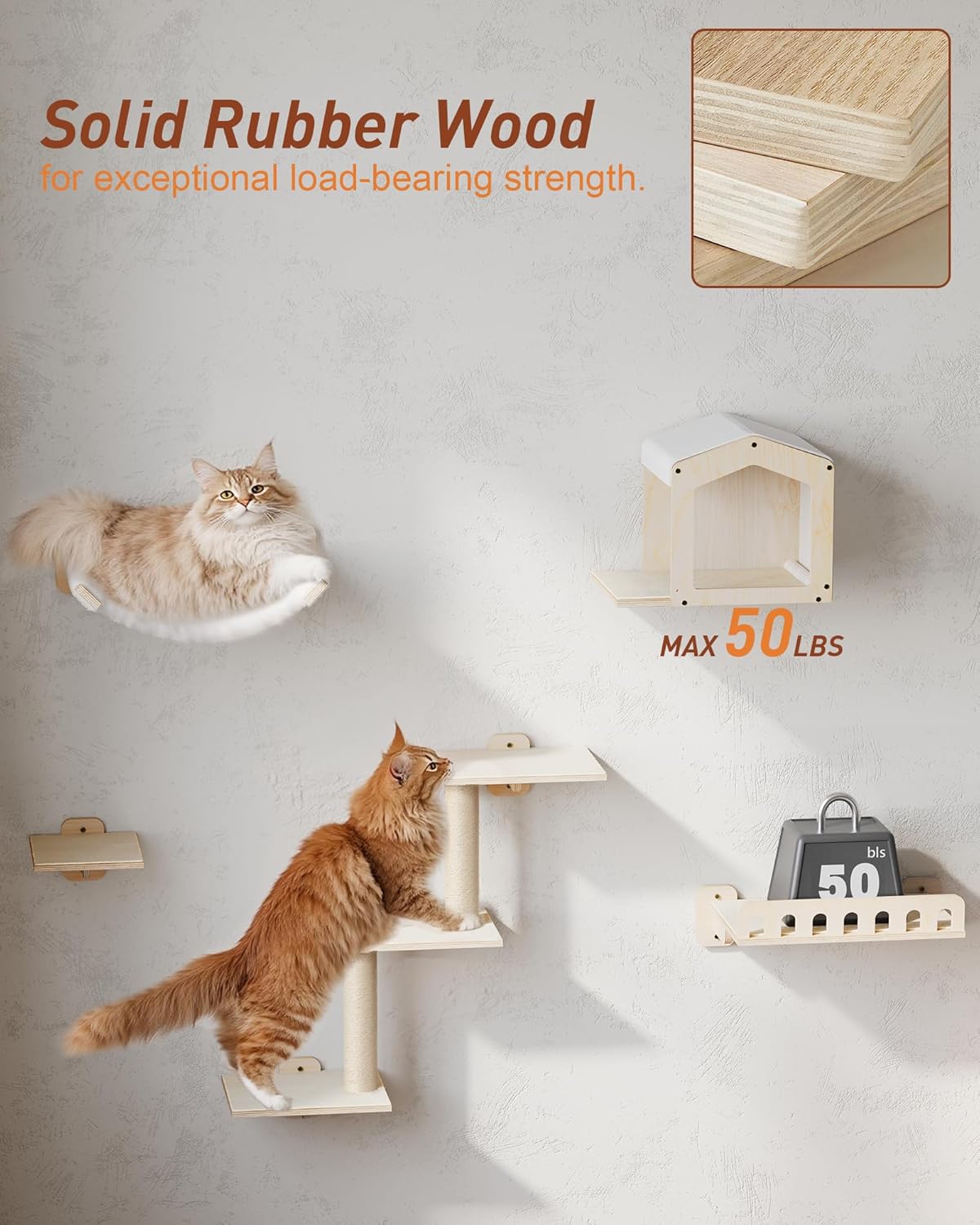Cat Wall Shelves for Large Cats, 5-in-1 Cat Wall Furniture with Large Hammock and Wide Perch, Wooded Wall Climbing Furniture Set for Indoor Cats Quick Pick Grocers
