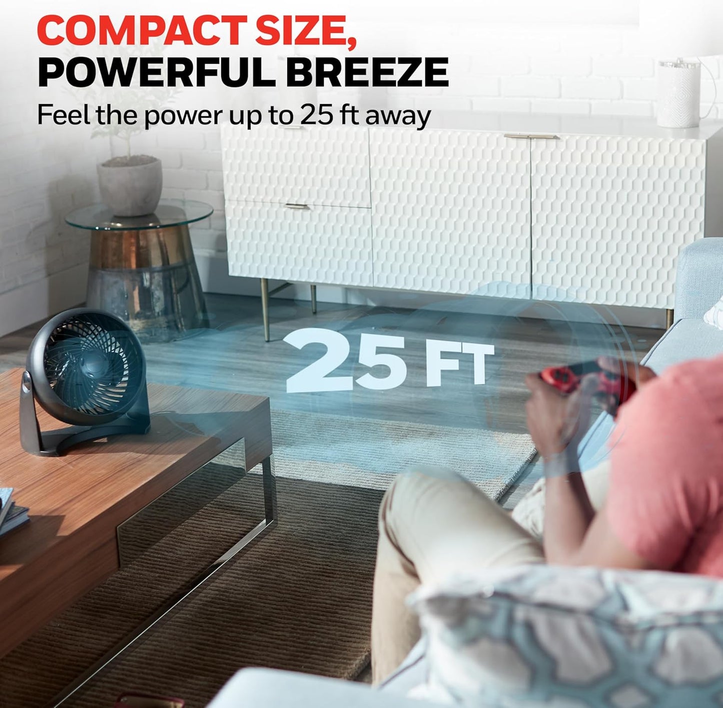Honeywell TurboForce Air Circulator, Small Tabletop Fan, Quiet Personal Fan for Home or Office, 3 Speeds, 90 Degree Pivoting Head Quick Pick Grocers