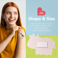BioSwiss Bandages, Self Adhesive Bandage Set, Latex Free, Sterile Wound Care Quick Pick Grocers