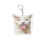 Funny Cat Memes Series Keychain Student Gift Bag Lanyard  Women's Bag Pendant Keychain Cute Things Cheap Gift For Best Friends Econic Blanks