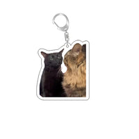 Funny Cat Memes Series Keychain Student Gift Bag Lanyard  Women's Bag Pendant Keychain Cute Things Cheap Gift For Best Friends Econic Blanks