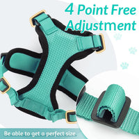 Cat Harness and Leash for Walking, Escape Proof Soft Adjustable Vest Harnesses for Cats, EasyControl Econic Blanks