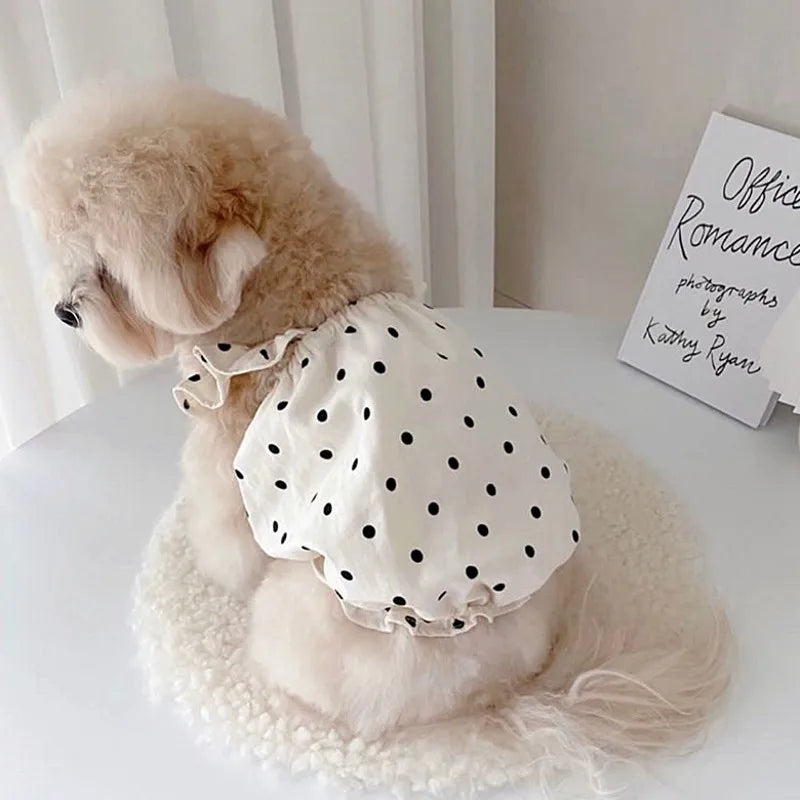 Luxury Dog Dress for Small Dogs Summer Puppy Clothes Bow Lace Dog Skirt Black White Dog T Shirt Girls Dog Costume Chihuahua Vest Quick Pick Grocers