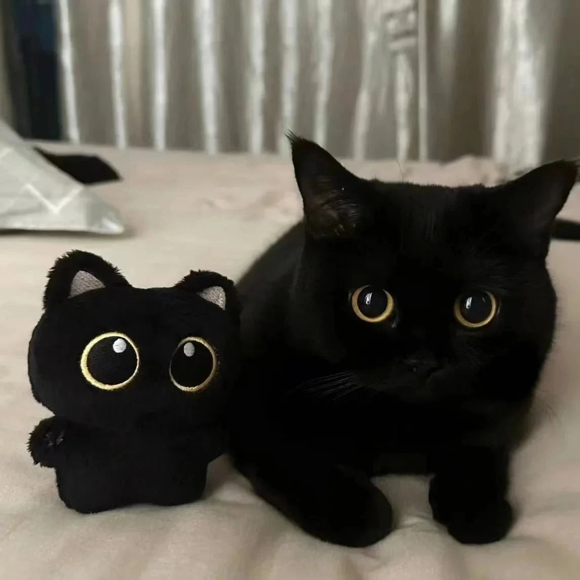 10cm Cute Black Cat plush toy Doll Small Pendant Cuddly Pillow Cushion Ins Black Cat Plush Toy Doll for Boy Girl Brithday Gifts Econic Blanks