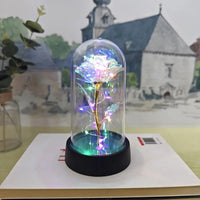 Artificial Rose Flowers Valentines Day Gift for Girlfriend Eternal Rose LED Light Foil Flower Wedding Decor Christmas Gifts Purest Peak Salt