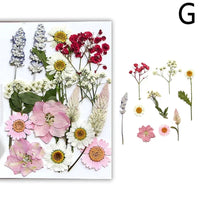 For Fun DIY Embossed Dried Flower Resin Fillings Real Flower for Home Decoration Nail Art Handicrafts Jewelry Making Crafts Econic Blanks
