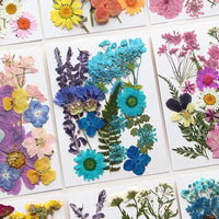 For Fun DIY Embossed Dried Flower Resin Fillings Real Flower for Home Decoration Nail Art Handicrafts Jewelry Making Crafts Econic Blanks