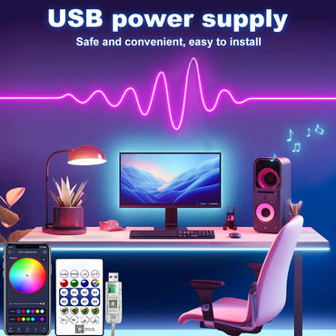 5V RGB Neon Strip Light 1M 2M 3M 5M USB Waterproof Flexible Ribbon Tape Neon Lights With Bluetooth Remote Control For Home Decor Econic Blanks