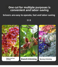 190mm Straight Head Pruning Shears Non-slip HandleStainless Steel Outils Manuels Household Bonsai Garden Scissors Pruing Shear