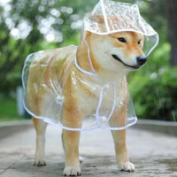 Pet Dog Puppy Transparent Rainwear Raincoat Pet Hooded Waterproof Jacket Clothes Soft PVC Small Dogs Raincoat Puppy Rain Poncho Econic Blanks
