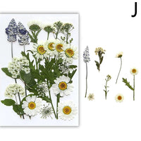 For Fun DIY Embossed Dried Flower Resin Fillings Real Flower for Home Decoration Nail Art Handicrafts Jewelry Making Crafts Econic Blanks