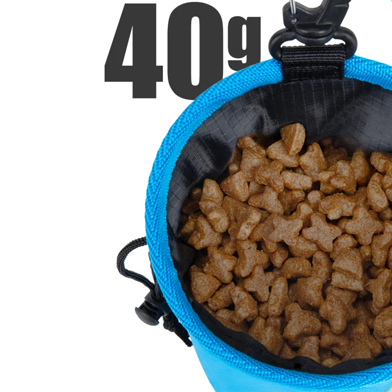 SMALL COMBINATION Portable Dog Training Snack Bag puppy dog snack bag for leash Outdoor pet snacks awards waist bag XZH-T24001-1 Quick Pick Grocers
