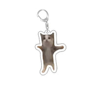 Funny Cat Memes Series Keychain Student Gift Bag Lanyard  Women's Bag Pendant Keychain Cute Things Cheap Gift For Best Friends Econic Blanks