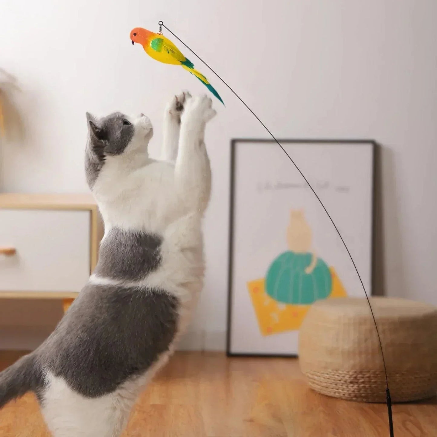 Simulation Bird Cat Toys Funny Interactive Peacock with Bell Cat Stick Toy for Kitten Playing Teaser Wand Toys Pet Cats Supplies Quick Pick Grocers
