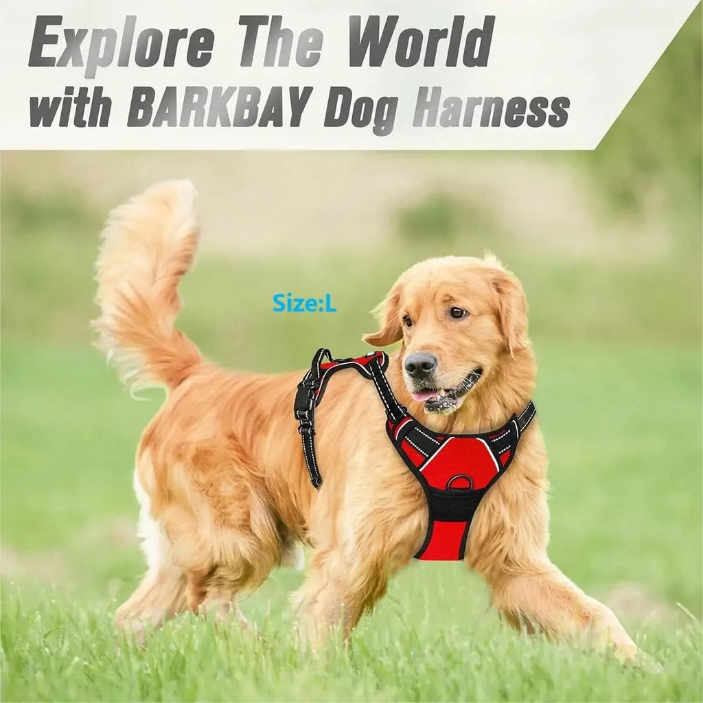 Dog Collars Harness Big Vests Leash Pet Shop Everything for Dogs Leather Puppy Accessories Medium Small Set Quick Pick Grocers
