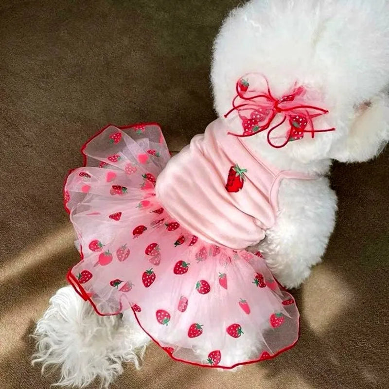 Luxury Dog Dress for Small Dogs Summer Puppy Clothes Bow Lace Dog Skirt Black White Dog T Shirt Girls Dog Costume Chihuahua Vest Quick Pick Grocers