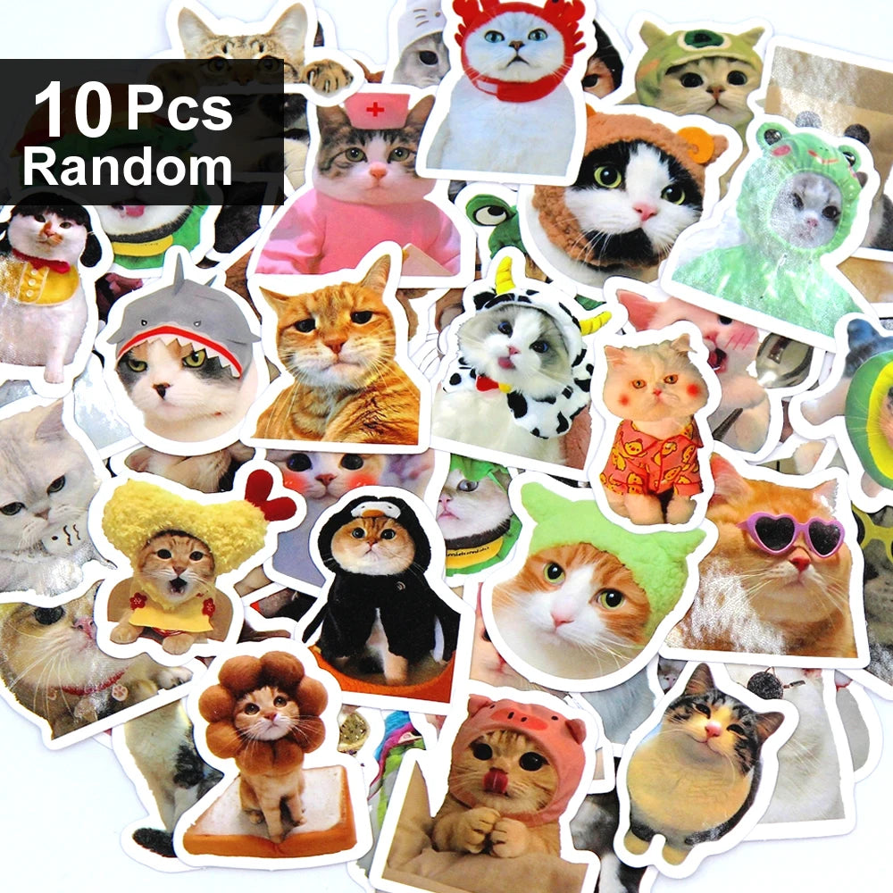 100/500/1000pcs Funny Cat Stickers Cartoon Cute Decals Toy Stationery Guitar Phone Bicycle Laptop Luggage Graffiti Kids Sticker Quick Pick Grocers