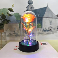 Artificial Rose Flowers Valentines Day Gift for Girlfriend Eternal Rose LED Light Foil Flower Wedding Decor Christmas Gifts Purest Peak Salt