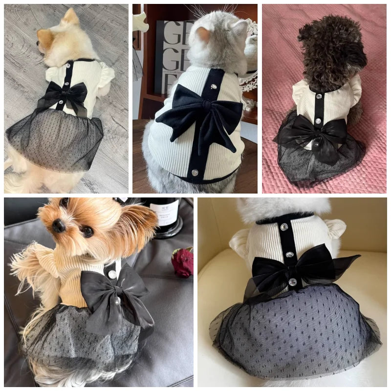 Luxury Dog Dress for Small Dogs Summer Puppy Clothes Bow Lace Dog Skirt Black White Dog T Shirt Girls Dog Costume Chihuahua Vest Quick Pick Grocers