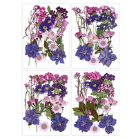 For Fun DIY Embossed Dried Flower Resin Fillings Real Flower for Home Decoration Nail Art Handicrafts Jewelry Making Crafts Econic Blanks