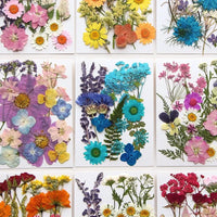 For Fun DIY Embossed Dried Flower Resin Fillings Real Flower for Home Decoration Nail Art Handicrafts Jewelry Making Crafts Econic Blanks