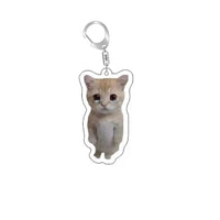 Funny Cat Memes Series Keychain Student Gift Bag Lanyard  Women's Bag Pendant Keychain Cute Things Cheap Gift For Best Friends Econic Blanks