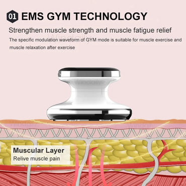 EMS & RF Radio Frequency Body Slimming Machine Fat Burner Slim Shaping Device LED Light Therapy Lose Weight Cellulite Massager Purest Peak