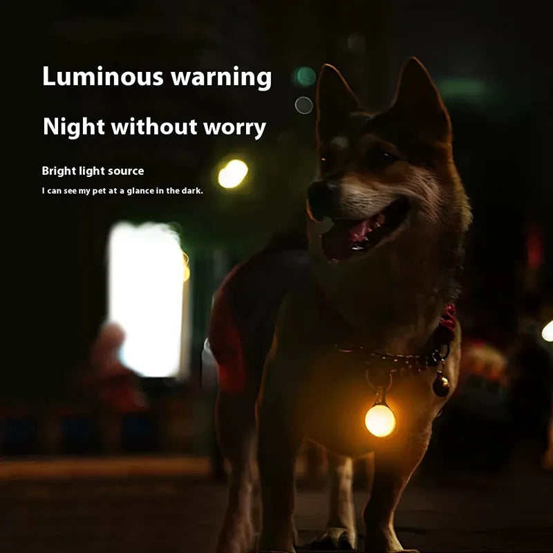 Led Luminous Dog Cat Collar Glowing Pendant Pet Leads Glow Accessories Bright Necklace Luminous Collar Night Safety Decoration Econic Blanks
