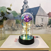 Artificial Rose Flowers Valentines Day Gift for Girlfriend Eternal Rose LED Light Foil Flower Wedding Decor Christmas Gifts Purest Peak Salt