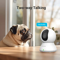 Blurams 2.4＆5G WiFi Indoor Camera, 2K, 360° PTZ Pet Dog IP CCTV Camera with Phone App, 2-Way Talk, Night Vision, for Home Securi Econic Blanks