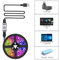 RGB LED Strip Light SMD 5050 USB Remote&APP Control Bluetooth Flexible Tape Diode Ribbon for TV Backdrop Living Room Bedroom Econic Blanks