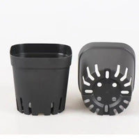 Seedling Pots 50Pcs Square Plant Seeding- Planting Cup Plastic Deep Nursery Tree Pot Flower Plant Container Pot Garden Grow Quick Pick Grocers