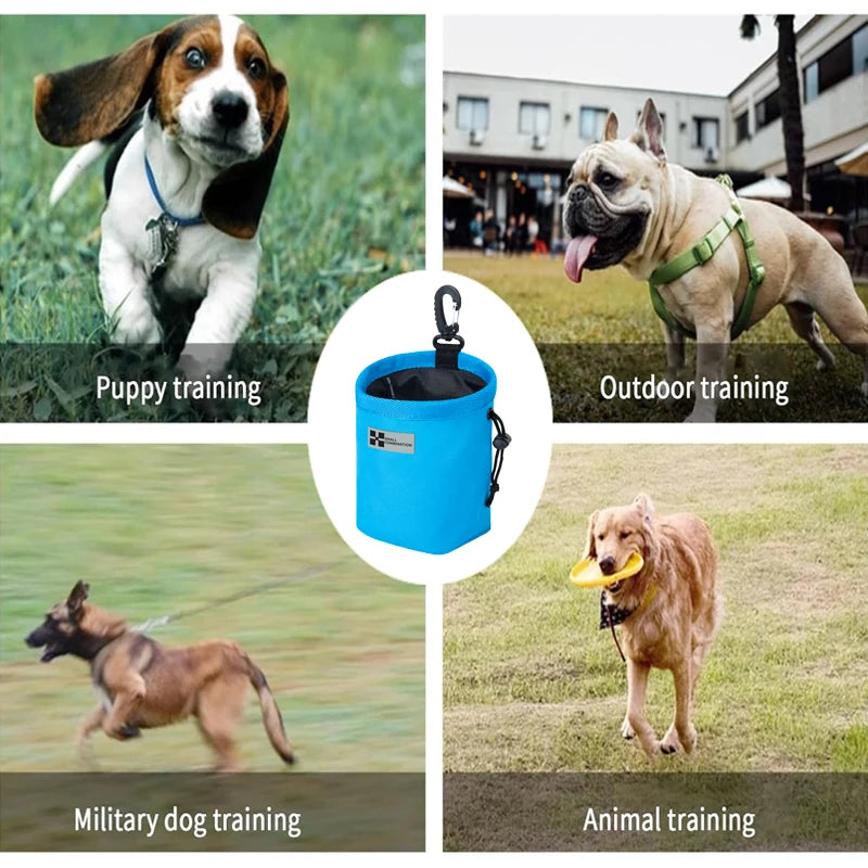 SMALL COMBINATION Portable Dog Training Snack Bag puppy dog snack bag for leash Outdoor pet snacks awards waist bag XZH-T24001-1 Quick Pick Grocers