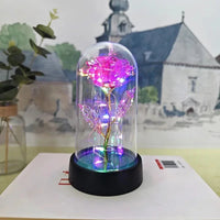 Artificial Rose Flowers Valentines Day Gift for Girlfriend Eternal Rose LED Light Foil Flower Wedding Decor Christmas Gifts Purest Peak Salt