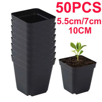 Seedling Pots 50Pcs Square Plant Seeding- Planting Cup Plastic Deep Nursery Tree Pot Flower Plant Container Pot Garden Grow Quick Pick Grocers