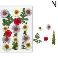 For Fun DIY Embossed Dried Flower Resin Fillings Real Flower for Home Decoration Nail Art Handicrafts Jewelry Making Crafts Econic Blanks