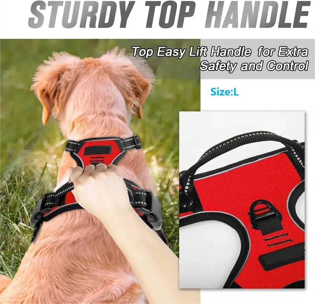 Dog Collars Harness Big Vests Leash Pet Shop Everything for Dogs Leather Puppy Accessories Medium Small Set Quick Pick Grocers