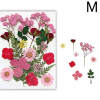 For Fun DIY Embossed Dried Flower Resin Fillings Real Flower for Home Decoration Nail Art Handicrafts Jewelry Making Crafts Econic Blanks