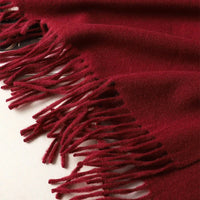 62Color Solid Women Winter Scarf Warm Thicken Cashmere Shawl Outdoor Fashion Luxury Tassels Pashmina Lady Wrap Windproof Scarves Econic Blanks
